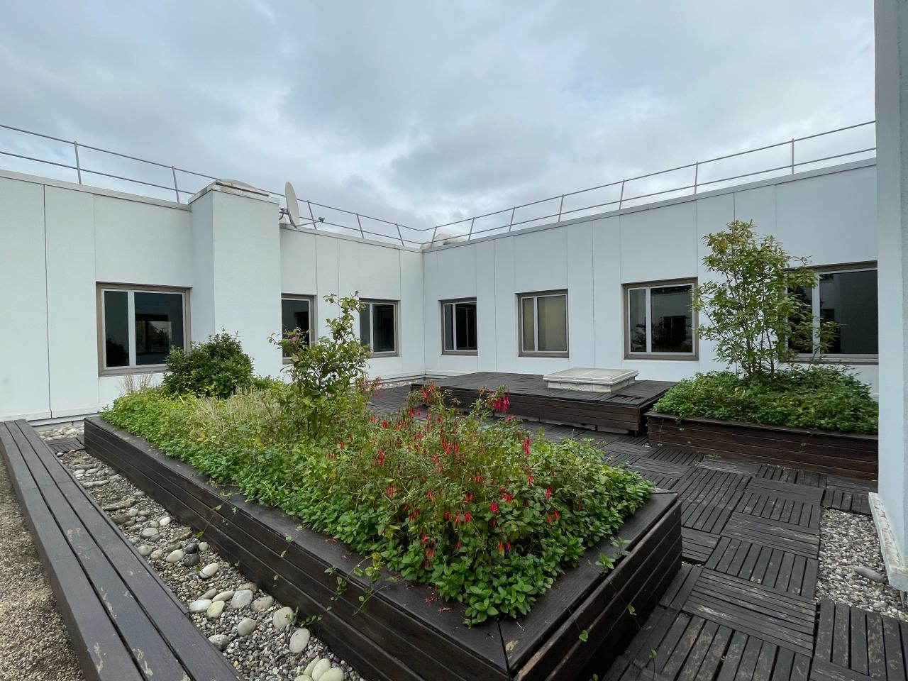 Local d'activité Nanterre 1819m² Location local d'activité Nanterre Hauts-de-Seine OLACT2424238 1